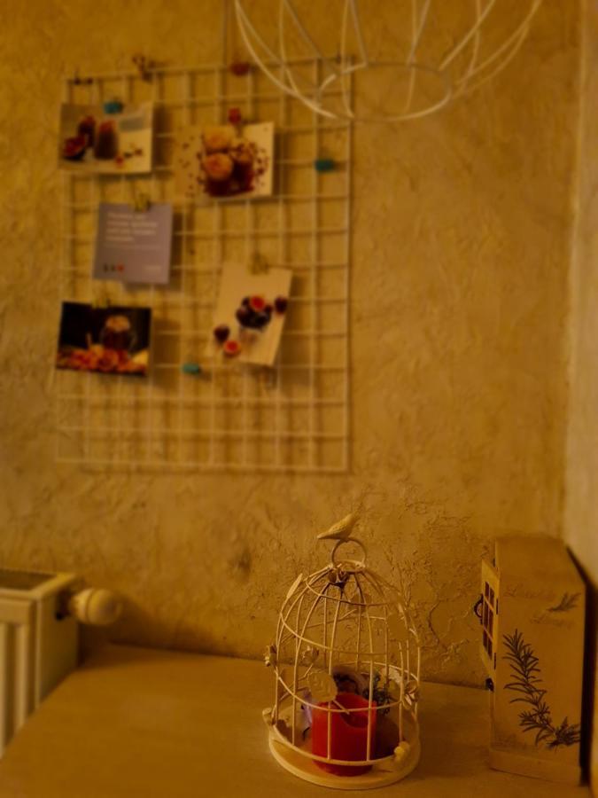 Cozy Compact Flat In The City Center Lviv Bagian luar foto