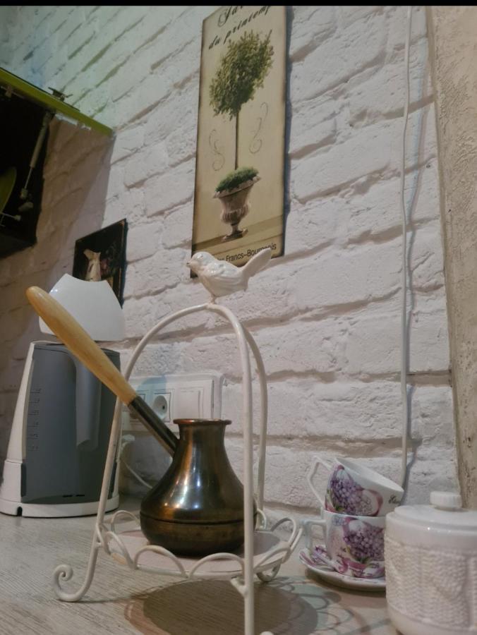 Cozy Compact Flat In The City Center Lviv Bagian luar foto